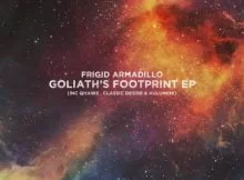 Frigid Armadillo – Invisible People