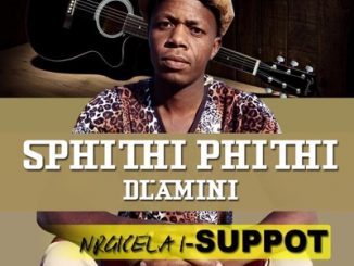 Sphithiphithi Dlamini - Kuzwakala Abanemali