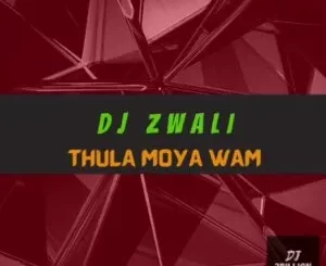 DJ Zwali – Thula Moya Wam (Gospel Gqom