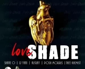 Various Artists – Love Shade Riddim ALBUM EP