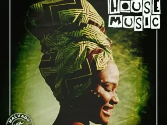 DJ Malvado & Friends – Angola House Music (Vol. 1)