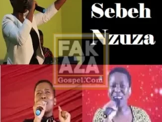 Sebeh Nzuza – Ngipholise Amanxeba