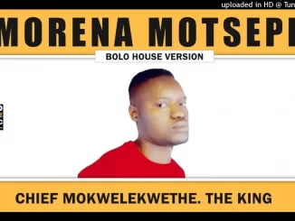 Chief Mokwelekwethe - Morena Motsepe