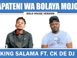 King Salama x CK The DJ - Mapateni Wa Bolaya Mojolo