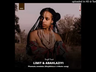 Limit & Abahlaziyi - Slay Bhinca Tribute