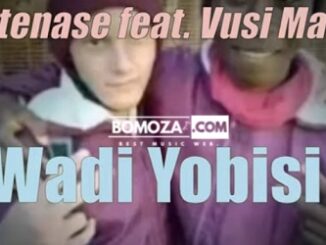 Matenase ft Vusi Ma R5 - Wadi Yobisi Matenase ft Vusi Ma R5 - Wadi Yobisi