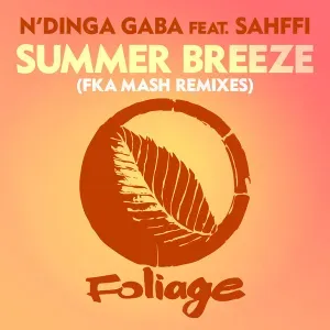 Summer Breeze - Fka Mash Remixes