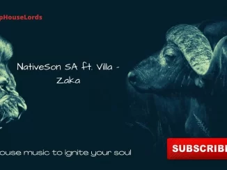 NativeSon SA ft. Villa - Zaka