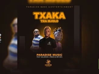 Paradise Music - Txaka Txa Mjolo Feat. Salmawa x Rimza SA & Mr Des