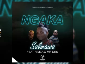 Salmawa - Ngaka Ft. Rimza SA & Mr Des