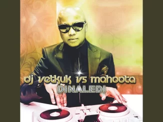 DJ Vetkuk vs Mahoota – Dinaledi