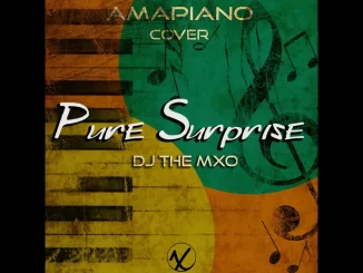 Pure Surprise (Amapiano Cover)