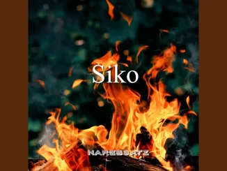 Nareb3atz - Siko New Amapiano Beat 2022